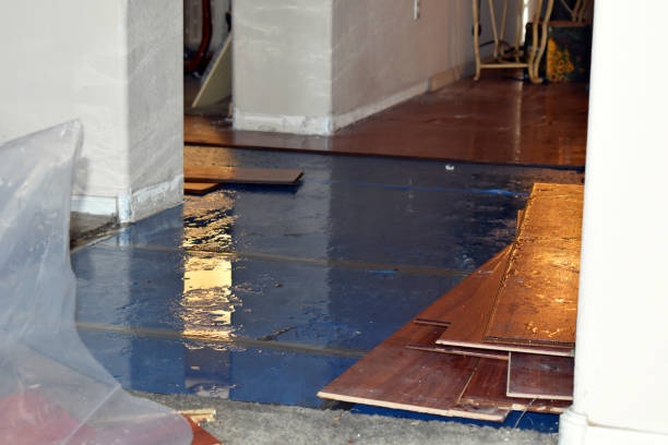 Professional Burst Pipe Cleanup technician working in New Home, TX