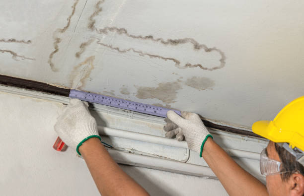 Reliable Burst Pipe Cleanup contractor in New Home, TX by Water Damage Irwin